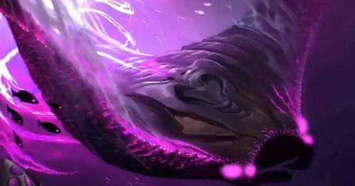 巴西老哥最新爆料视频在线观看,揭秘幕后真相，带你领略真实世界